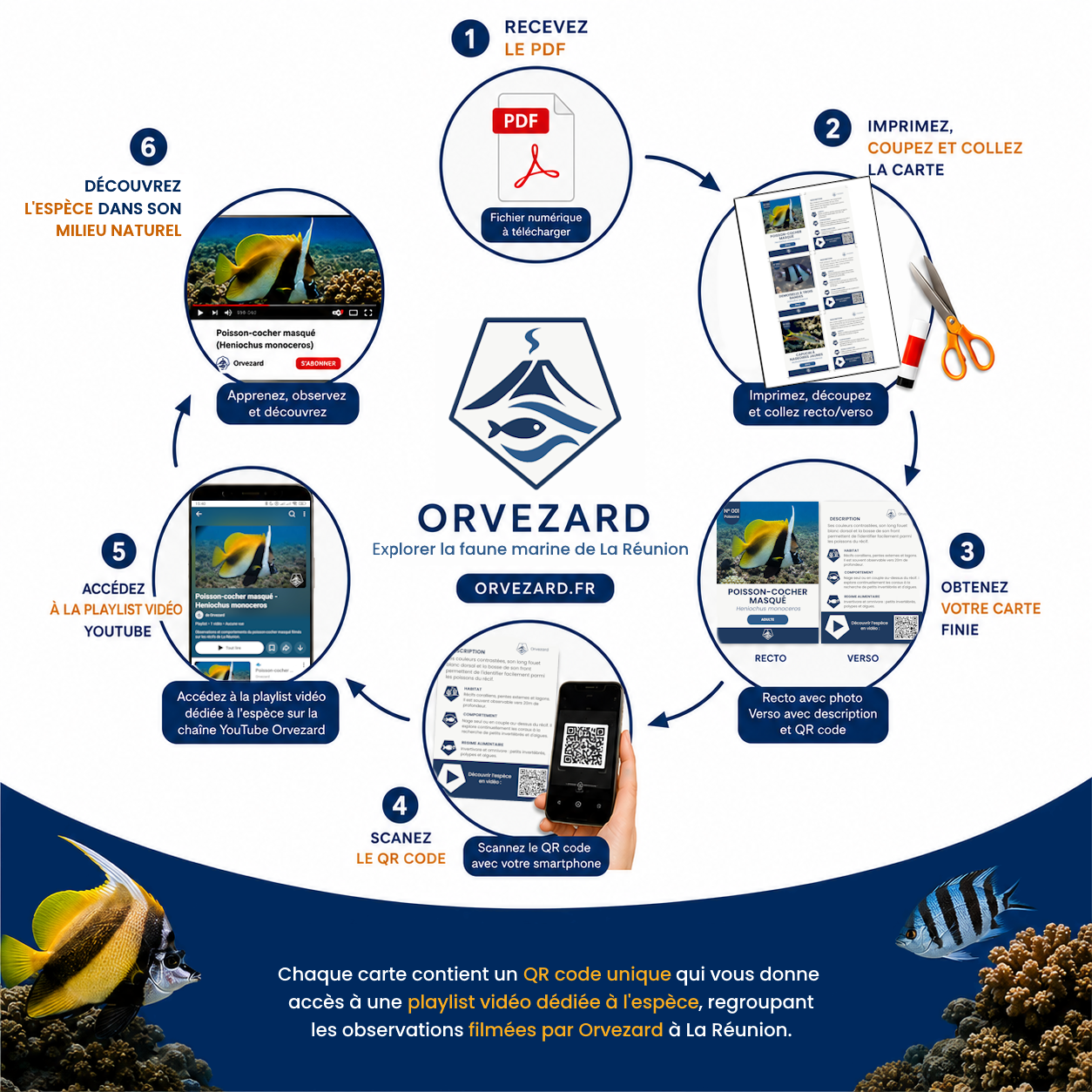 Fonctionnement des cartes Orvezard